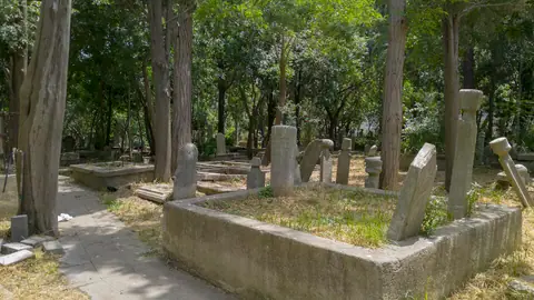 İstanbul'da ağaçların gölgesinde eski mezar taşlarının bulunduğu sessiz bir mezarlık